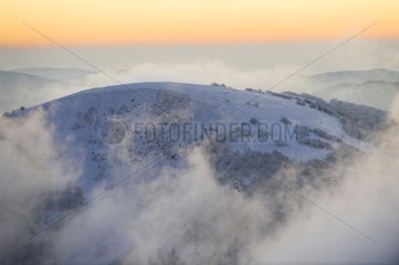 Summit Rainkopf in the fog in winter