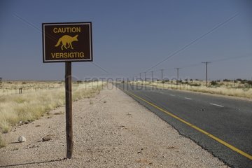 Road sign of protection of the Cape Fox Desert of Kalahari