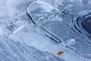 Leaves and ice on the surface of Lake Armaille - France