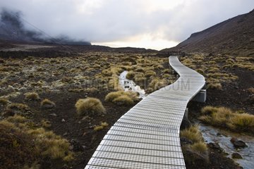 Boardwalk on Tongariro Crossing hiking trail New Zealand