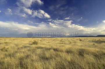 Landschaft in Utah Vereinigte Staaten