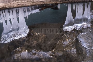Stalactites on the frozen Chedde cascade Haute-Savoie France