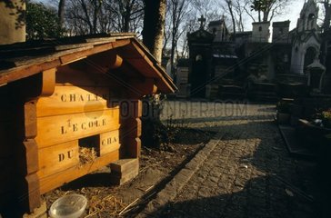 Shelter for cat deposited in the Parisian cemetery France