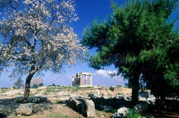 Péloponèse  Corinthe  le temple d'Apollon