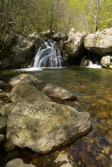 Torrent in mountains Monts d'Ardèche Regional Nature Park
