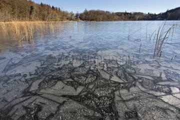 Ice on surface of Lake Ambléon - Bugey France