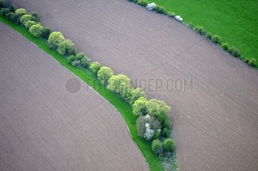 Aerial view of fields interspersed with hedges Doubs