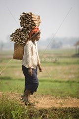 Woman carrying wood for cooking Burma