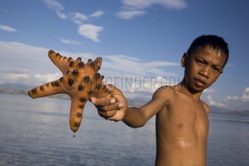 Boy and Starfish Messah Pulau Flores Indonesia