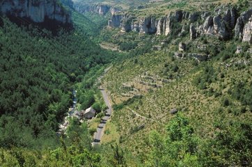 Landschaft der Gorges de la Jonte France 48