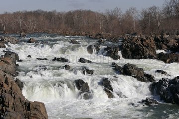Chutes du fleuve Potomac Great Falls National Parc USA