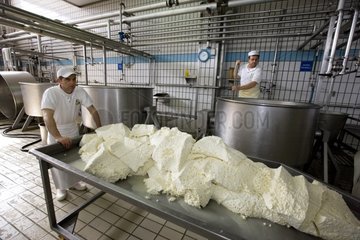 Worker pushing a table covered with mozzarella