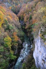 The Cheran river in autumn - Alpes France