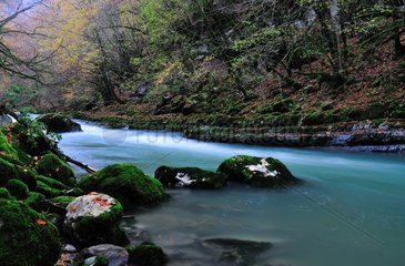 The Cheran river in autumn - Alpes France