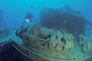 Diver an shipwreck Thistlegorm Ras Mohammed Egypt