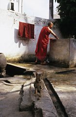 MÃ¶nch macht WÃ¤sche und Katze in einem Foutain Burma
