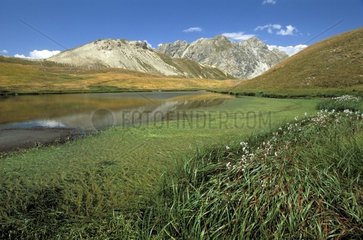 Cogour lakes in the Queyras