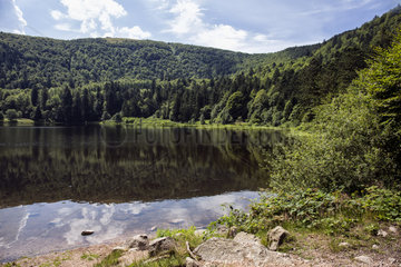 Lake Blanchemer in summer  Vosges  France