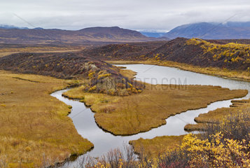 Eskers: geological formations dating from the last glaciation in autumn  Denali Highway: from Paxson to Cantwell  Alaska  USA
