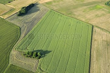 Aerial view of the work of hay on the plateau Brognard