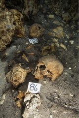 Maya Human bones in a Cenote Yucatan Mexico