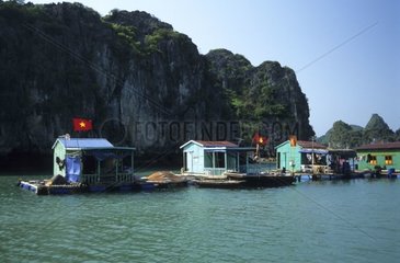 Schwimmende Häuser Island von Cat Ba Viêt Nam