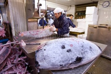 Cut out frozen tuna Fish market of Tsukuji Tokyo Japan
