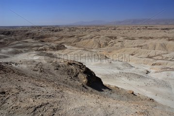 Pampa de Chaca Atacama desert Chili