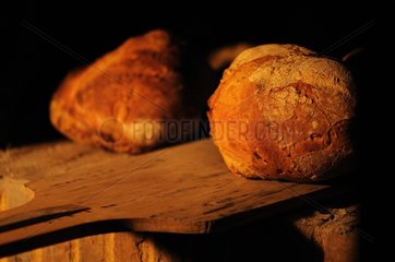Brot am Ausgang des Steinofens Frankreich
