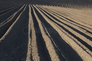 Ploughed furrows in a field Luxembourg