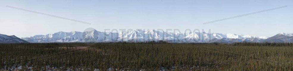 Landscape and tundra in Alaska