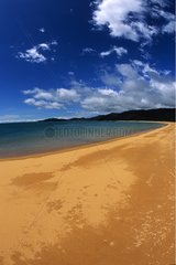 Sandy beach at Abel Tasman National Park South Island