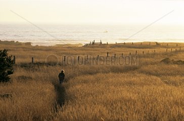 Man walking in a field vis-a-vis the sea