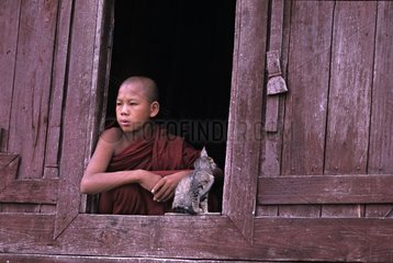 Kitten and young monk at a temple door Burma