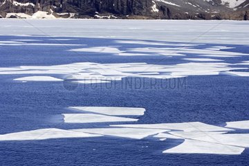 Broken sea ice around the Antarctic Peninsula