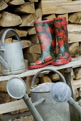 Boots decorated with red tulips and watering can