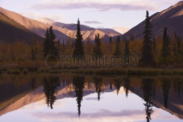 Reflection of Ogilvie Mountains in small lake northern Yukon