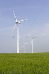 Windmühlen auf einem Feld mit Senneville Sur Fécamp Frankreich