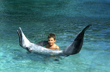 Complicity between a child and a Dolphin Moorea Polynesia