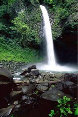 Wasserfall des Fortuna -Flusses und des tropischen Waldes Costa Rica