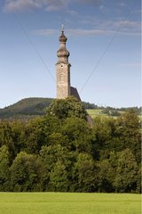 Eine Wiese und ein Kirchensturm hinter Bäumen Bayern