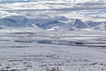 Dalton Highway : from Fairbanks to Prudhoe Bay  The Brooks Range in Autumn from the North of Atigun Pass  Alaska  USA