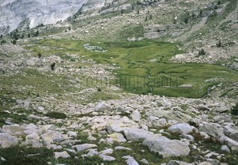 Vallon du Laverq Alpen Frankreich