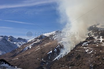 Burn-beating in Ariège - France