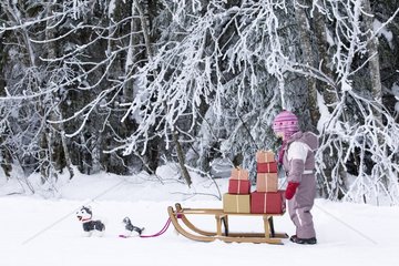 Small girl and presents on a sledge with stuffed toys