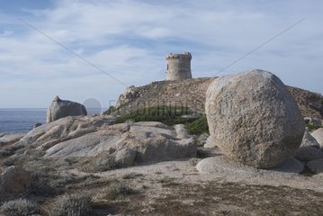 Genoesen Turm in Pointe de Cargese Korsika Frankreich