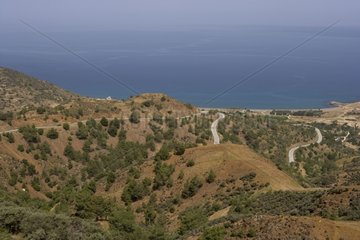 Landwirtschaftliche Landschaft nordwestlich von Zypern