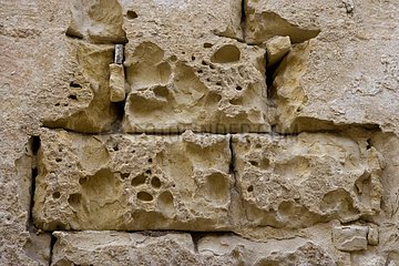Erodierte Steinmauer Mdina Malta