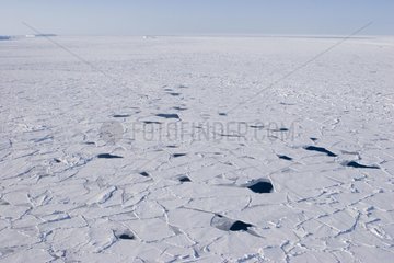 Collapse of ice-floe in october Terre Adelie