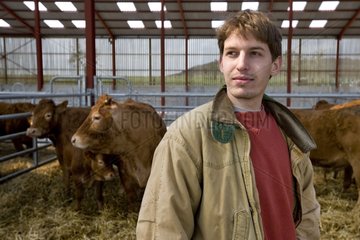 Young farmer among Limousine cows in stall
